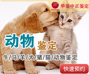 宜宾动物亲子鉴定