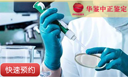 宜宾父系亲缘鉴定